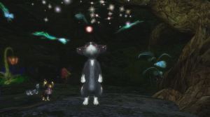 Their- time- has-come-Chantal-Harvey