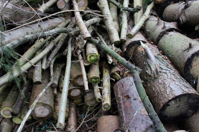 chantalharvey-artefiction