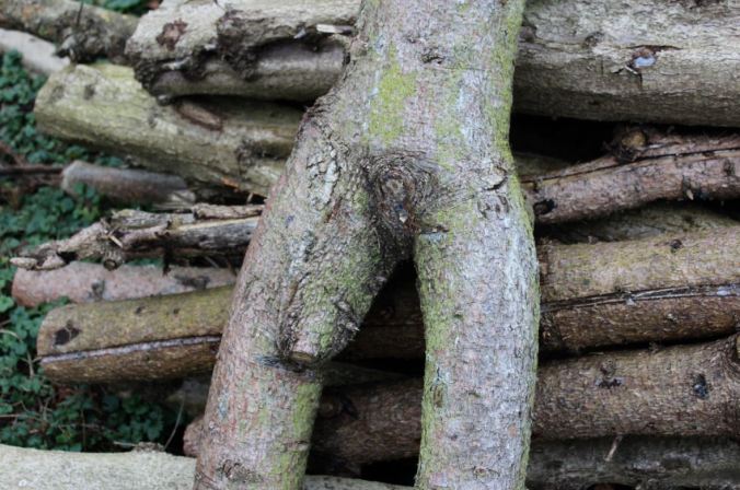 chantalharvey-shapes-artefiction