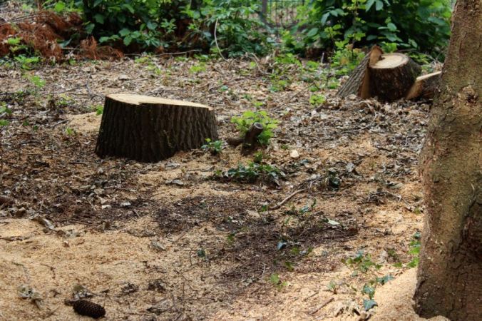 chantalharvey-chopped-artefiction