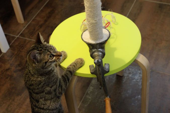 7.4 catart-artefiction-chantalharvey