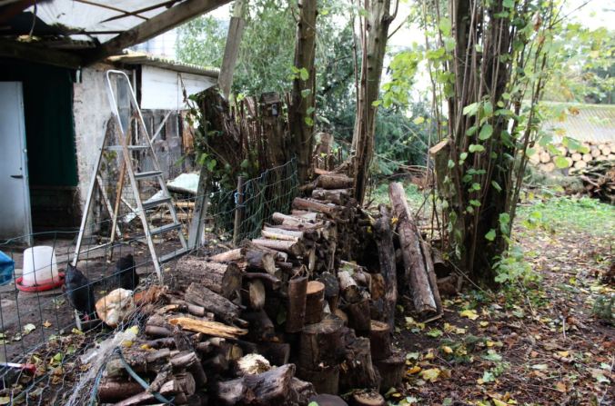 chantalharvey-logs-artefiction