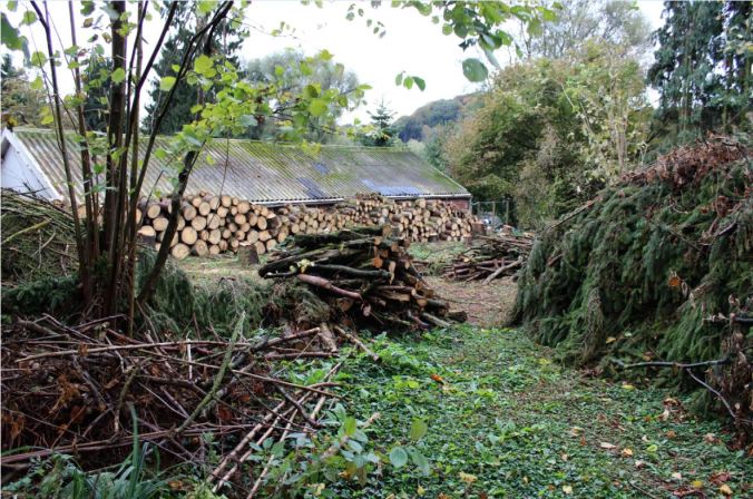 chantalharvey-lots-artefiction