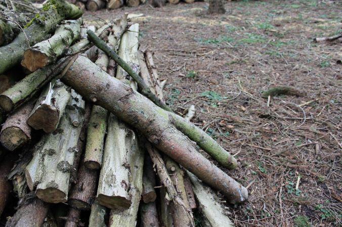 chantalharvey-found-artefiction