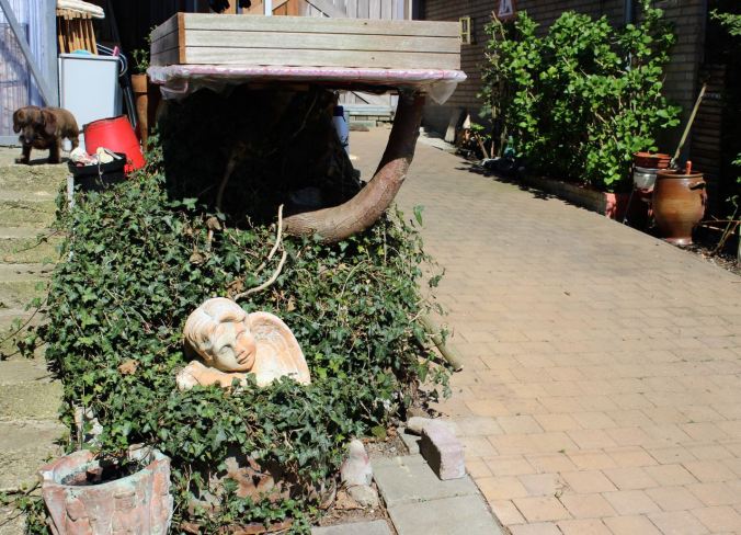 gardenonatree-chantalharvey