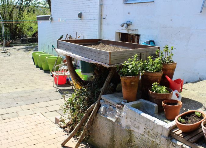 gardenonatree-chantalharvey