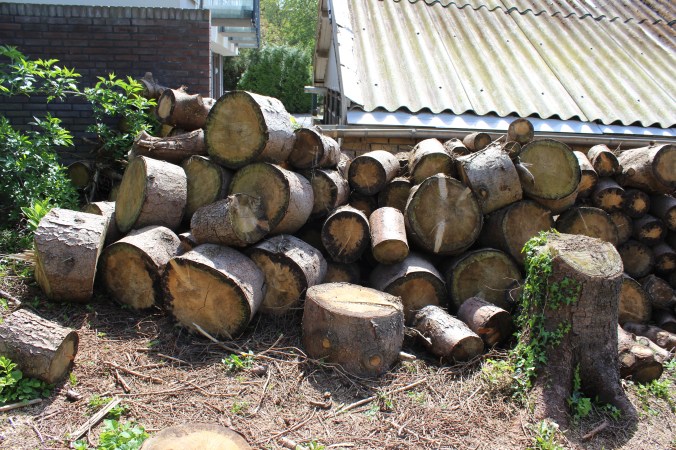 chantalharvey-woodenwall