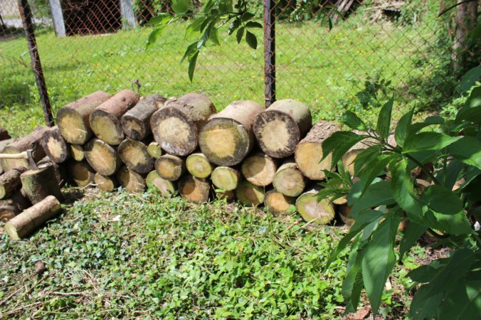 chantalharvey-woodenwall