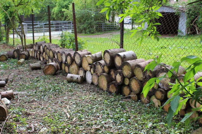 chantalharvey-woodenwall