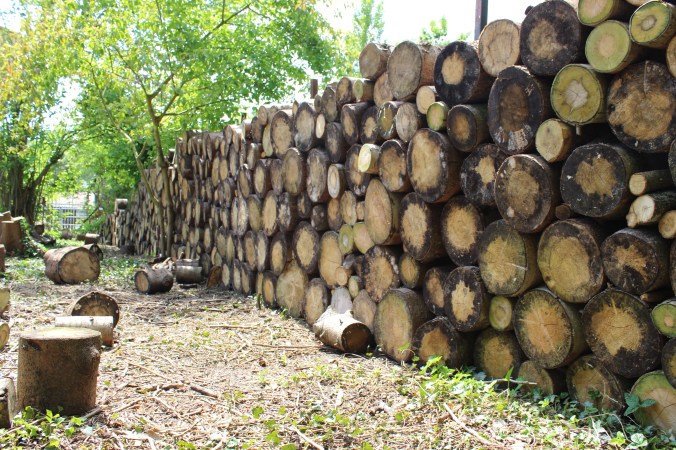 chantalharvey-woodenwall