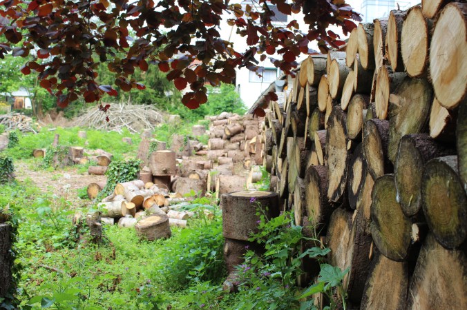 chantalharvey-woodenwall