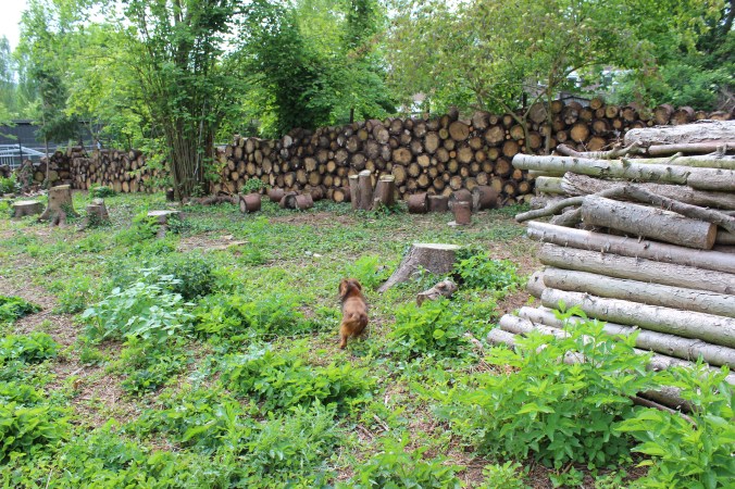 chantalharvey-woodenwall